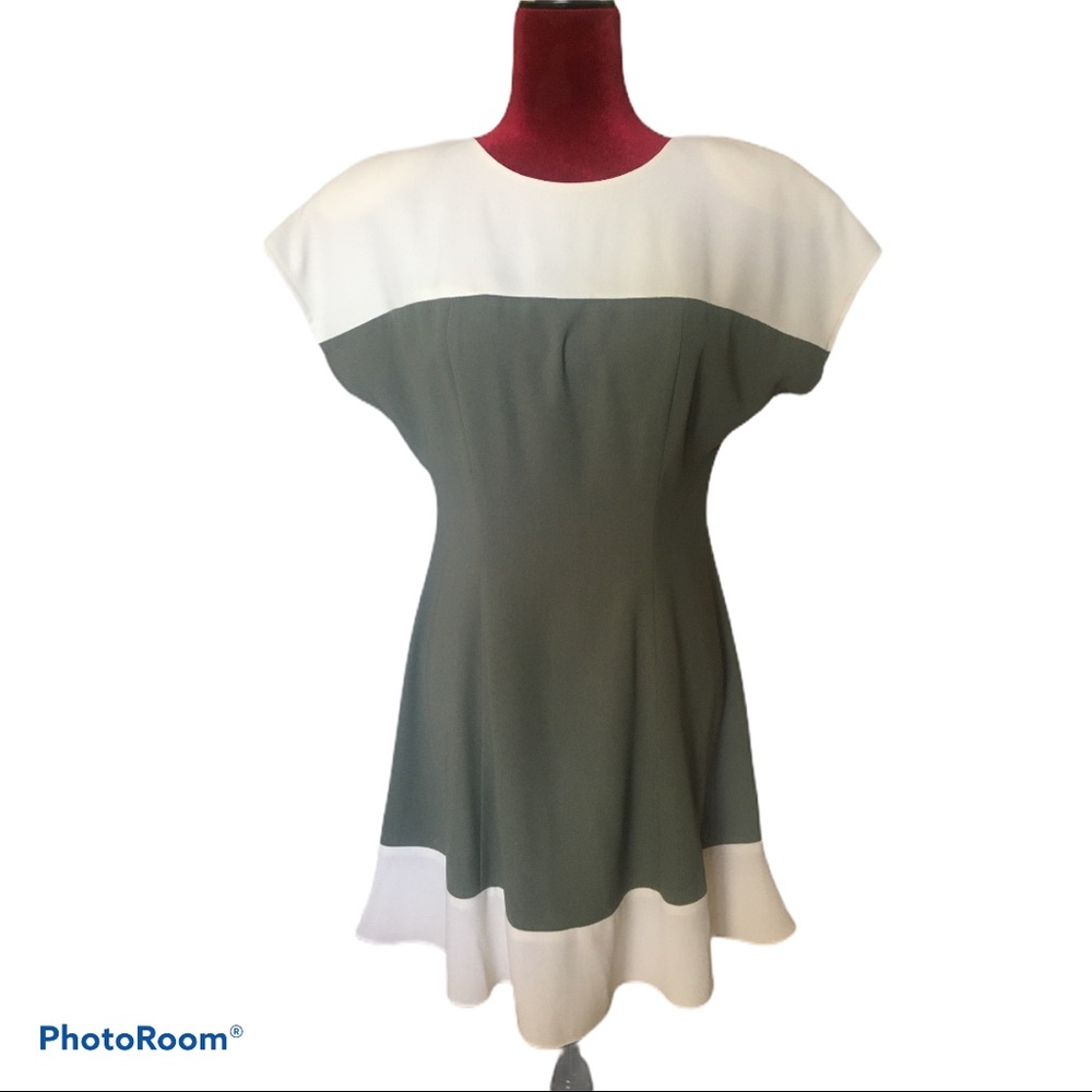 ⭐️Vintage CDC Ivory/Sage Green Dress